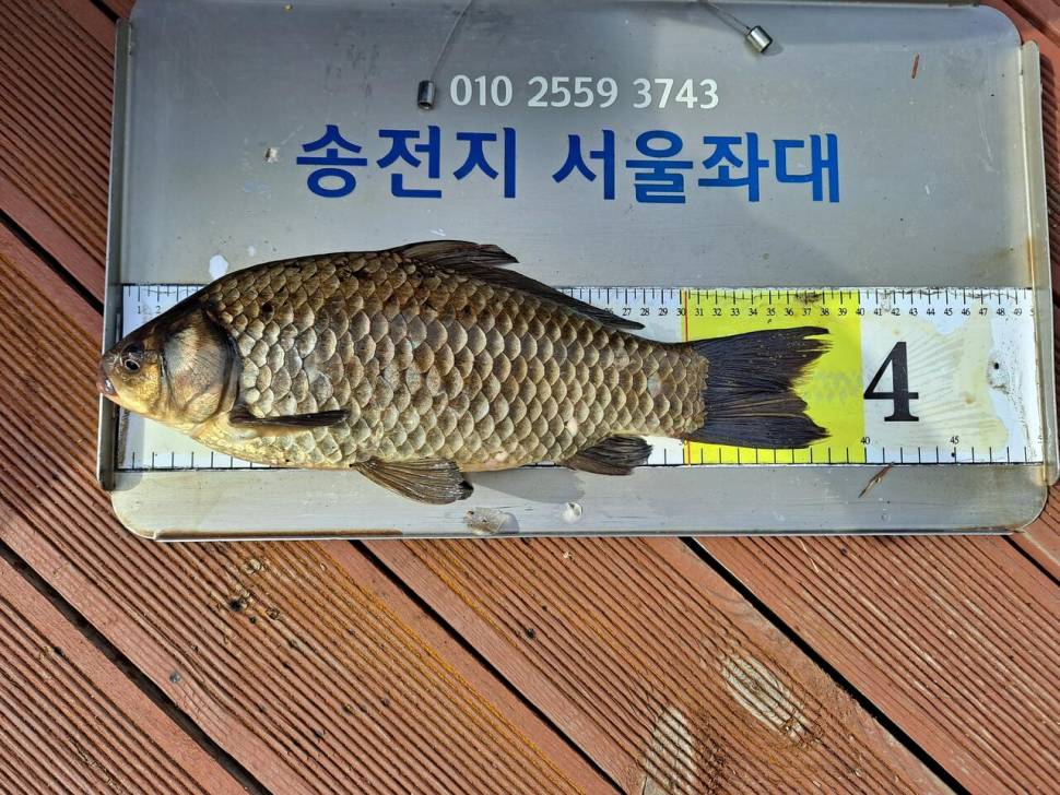 송전지서울좌대4월7일조황 (유료터정보 - 유료터점주조황)