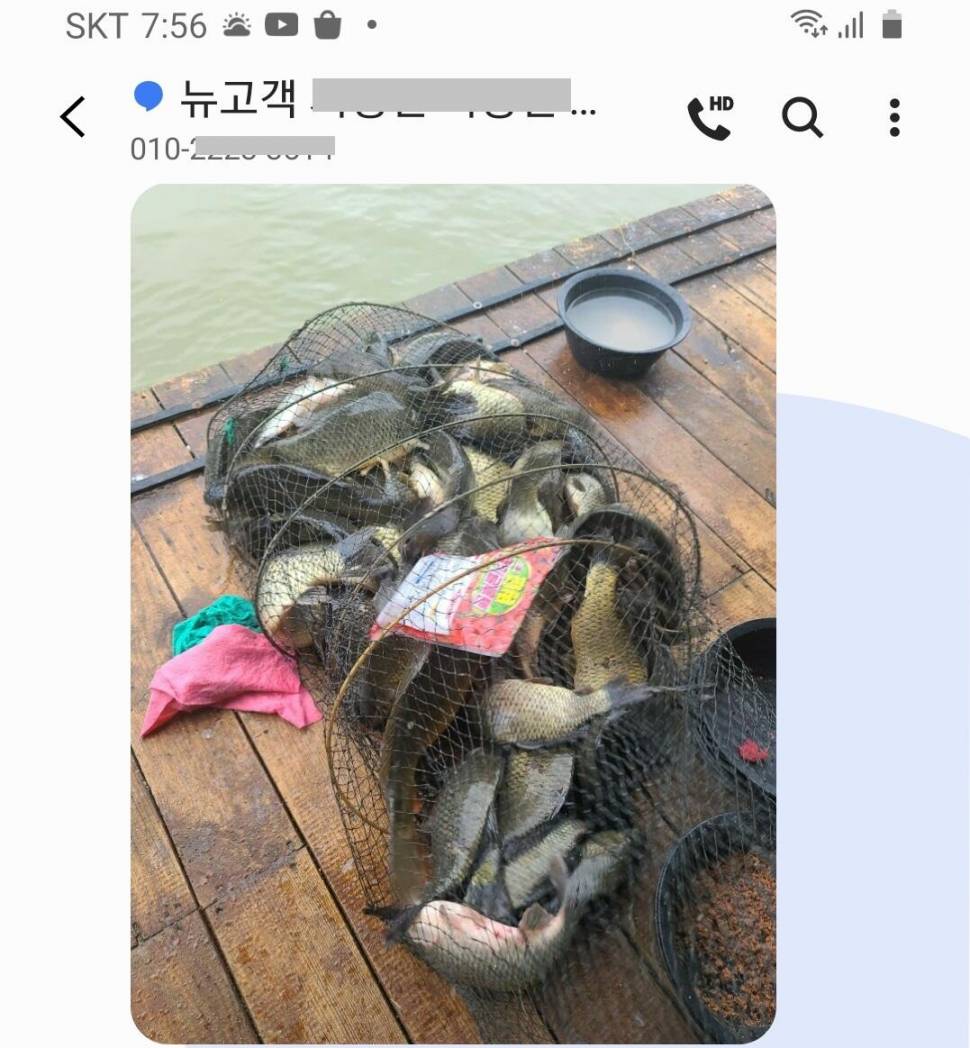 힐링 여름휴가 붕어낚시 수곡낚시터 주중조황 붕어 방류안내 (유료터정보 - 유료터점주조황)