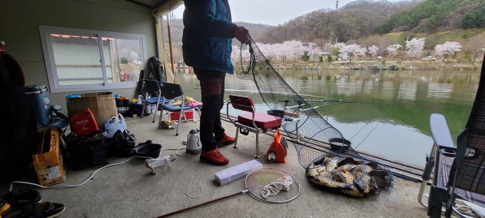 4월 양평 힐링 수곡낚시터 첫주말 대체로 고른 조황이었네요 (유료터정보 - 유료터점주조황)