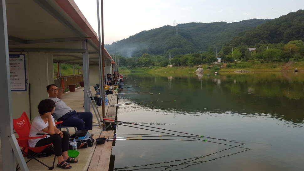 양평 수곡낚시터 주말 및 일요일 조황 소식 (유료터정보 - 유료터점주조황)