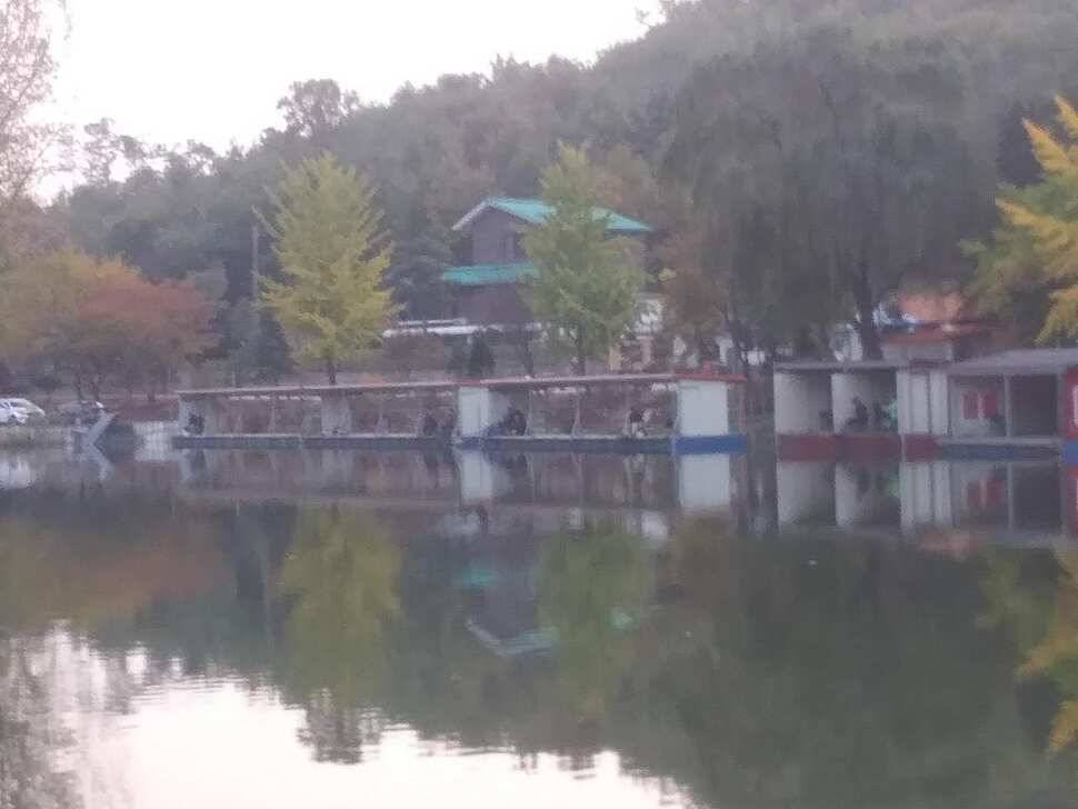 붕어낚시 양평 수곡낚시터 어제조황도 고르게 잘 나와주었습니다 (유료터정보 - 유료터점주조황)