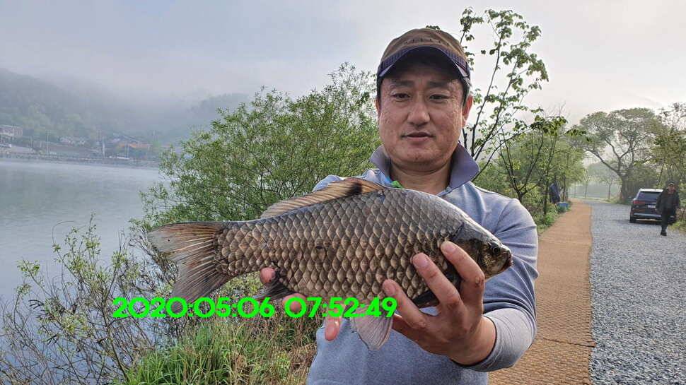 신원낚시터5월15일 토종대물 덩어리 사진입니다 (유료터정보 - 유료터점주조황)