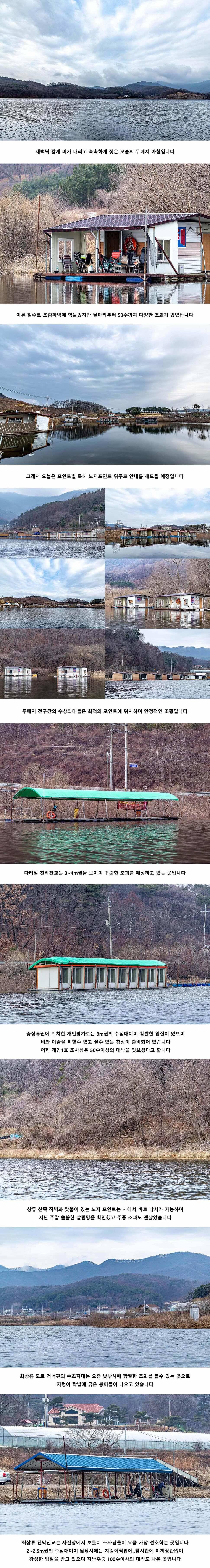 안성 두메낚시터 3월 13일 조황정보 (유료터정보 - 유료터점주조황)