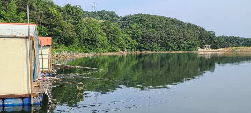 수곡낚시터 6월16일 주중 조황 및 금일 붕어 방류 완료하였습니다 (유료터정보 - 유료터점주조황)