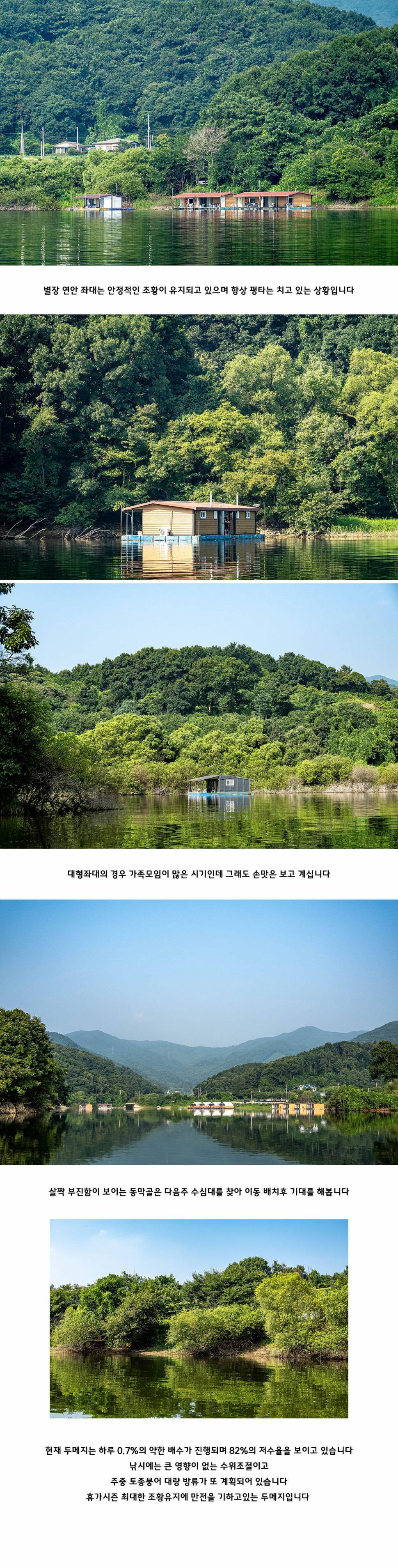 안성 두메낚시터 8월 4일 조황정보 (유료터정보 - 유료터점주조황)