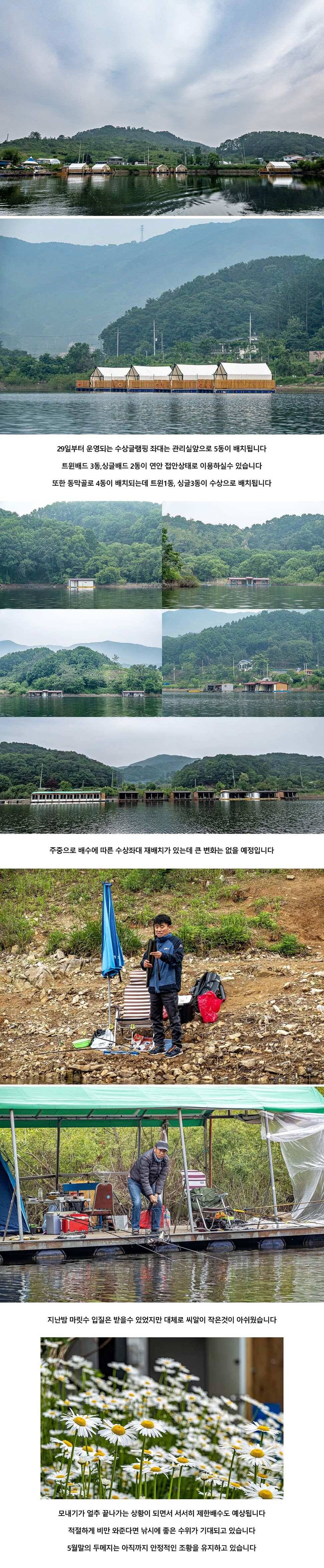 안성 두메낚시터 5월 26일 조황정보 (유료터정보 - 유료터점주조황)