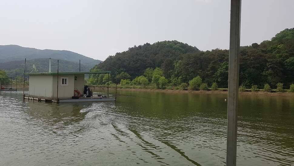 주중조황 입니다 (유료터정보 - 유료터점주조황)