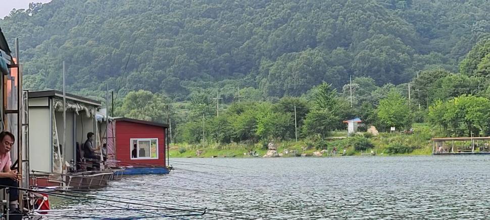 양평 힐링 수곡낚시터 호조황과 편차가 있었습니다 (유료터정보 - 유료터점주조황)