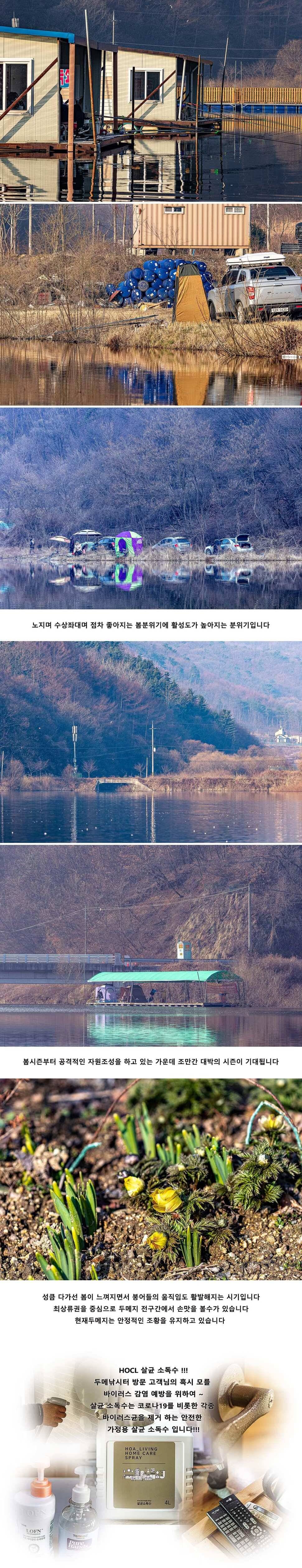 안성 두메낚시터 3월 8일 조황정보 (유료터정보 - 유료터점주조황)