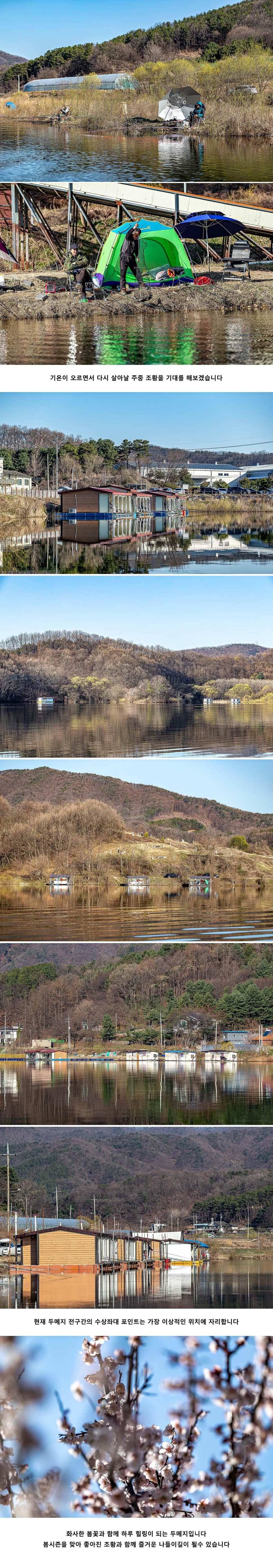 안성 두메낚시터 3월 29일 조황정보 (유료터정보 - 유료터점주조황)