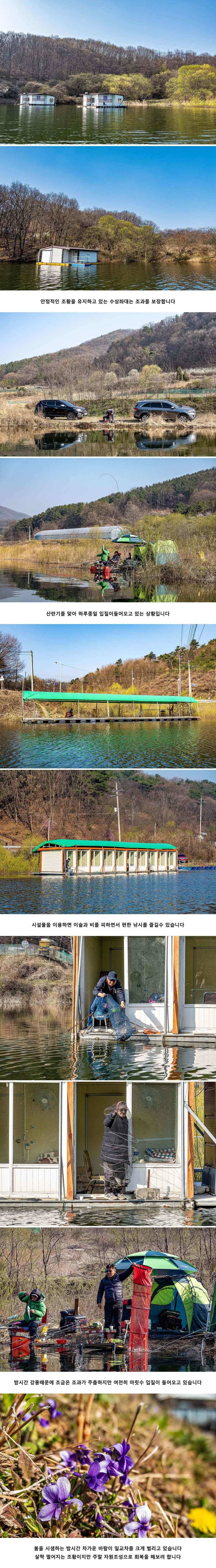 안성 두메낚시터 4월 3일 조황정보 (유료터정보 - 유료터점주조황)