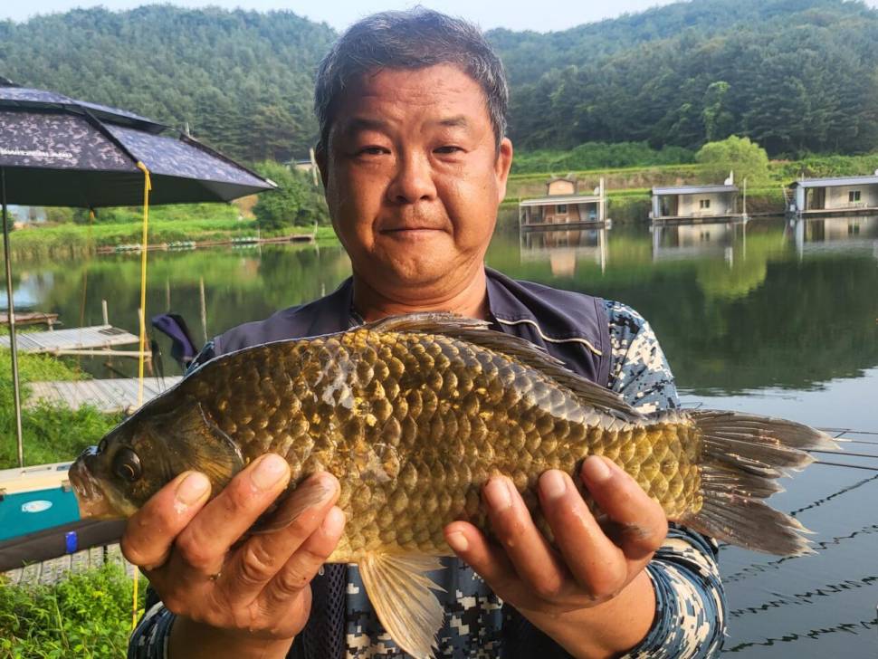 용담대물낚시터 (유료터정보 - 유료터점주조황)