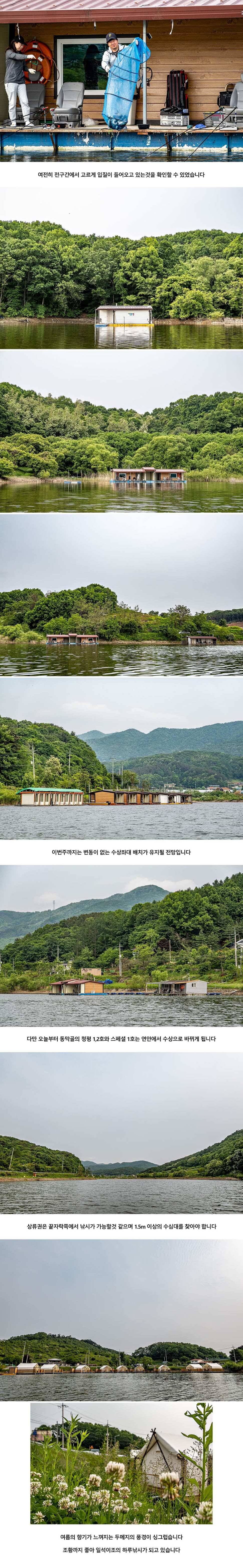 안성 두메낚시터 5월 22일 조황정보 (유료터정보 - 유료터점주조황)