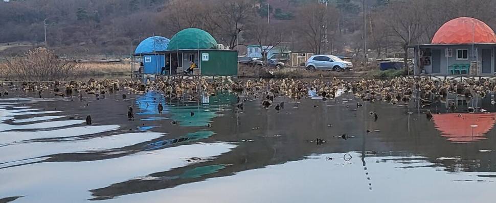 당진 가교리 낚시터 12월 19일 조황입니다 (유료터정보 - 유료터점주조황)