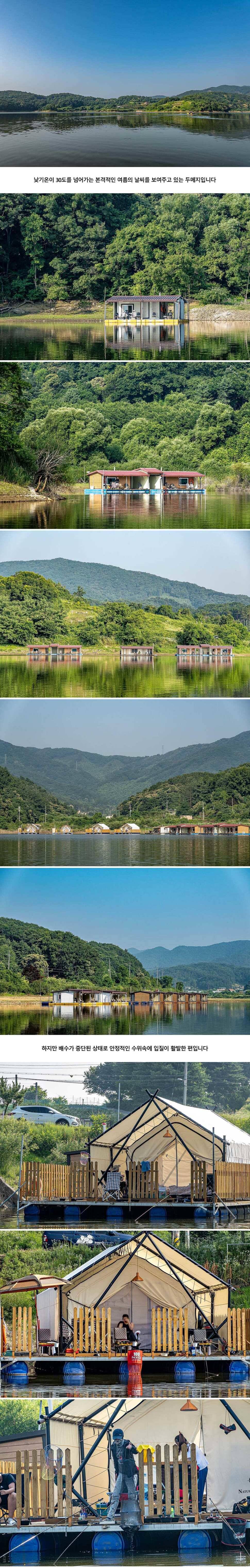 안성 두메낚시터 6월 22일 조황정보 (유료터정보 - 유료터점주조황)