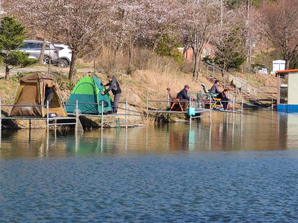 양평 수곡낚시터 4월 첫주 주말조황 및 수상좌대 할인요금 붕어방류 안내 (유료터정보 - 유료터점주조황)