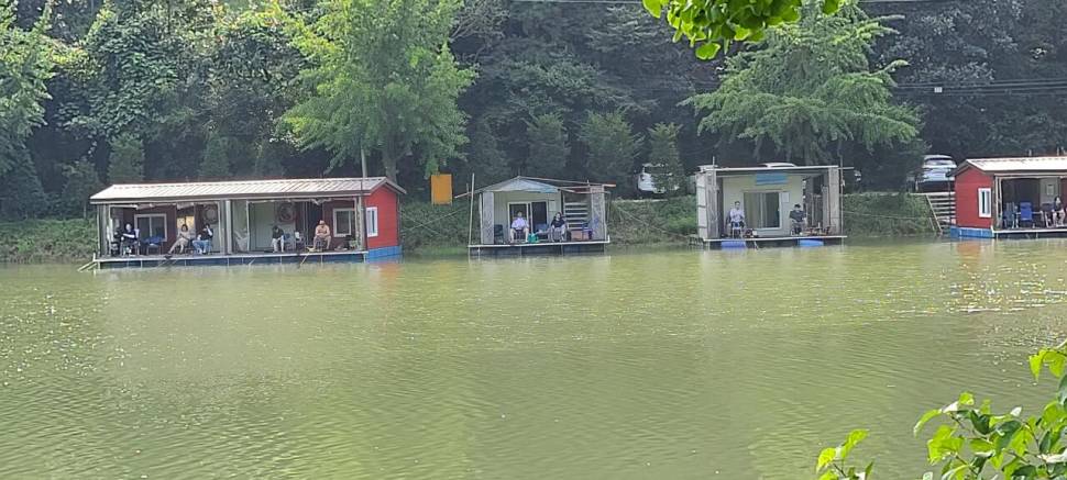 수곡낚티서 노지 좌대낚시 일요일도 고른 조황이 나와줍니다 (유료터정보 - 유료터점주조황)