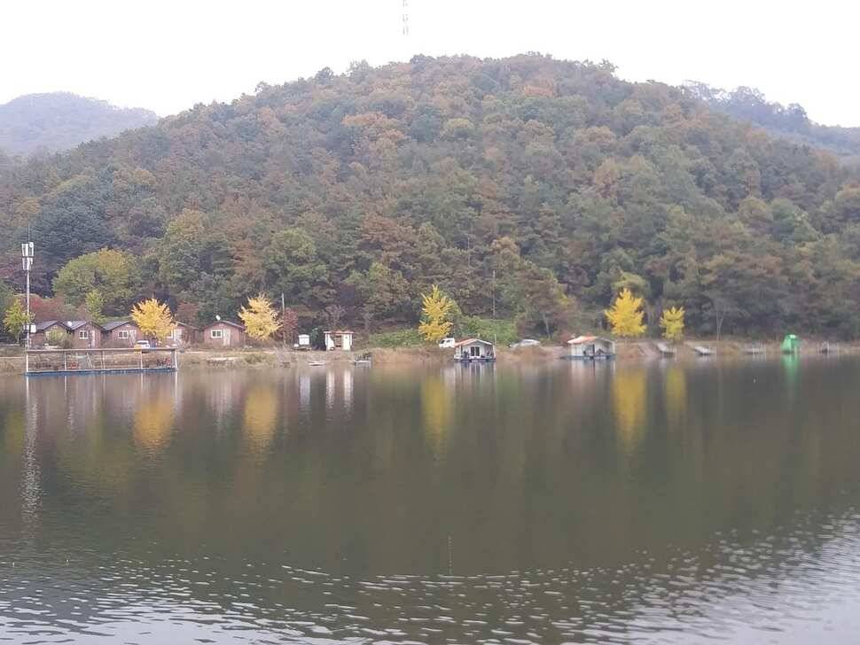 양평 수곡낚시터 자연산 토종붕어 방류 및 주말 조황 안내 (유료터정보 - 유료터점주조황)
