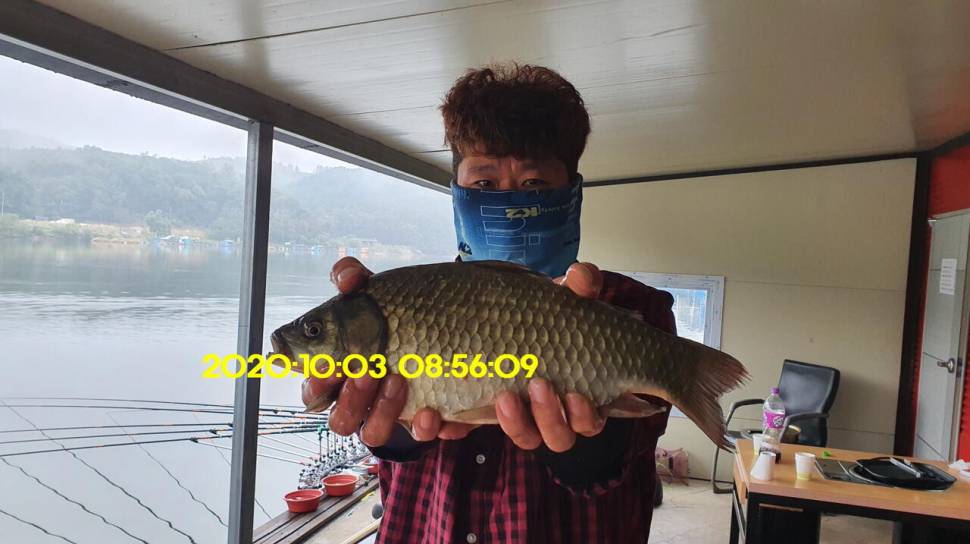 신원낚시터10월7일 연휴에도 토종4짜와 덩어리는 계속 나와 줍니다 (유료터정보 - 유료터점주조황)