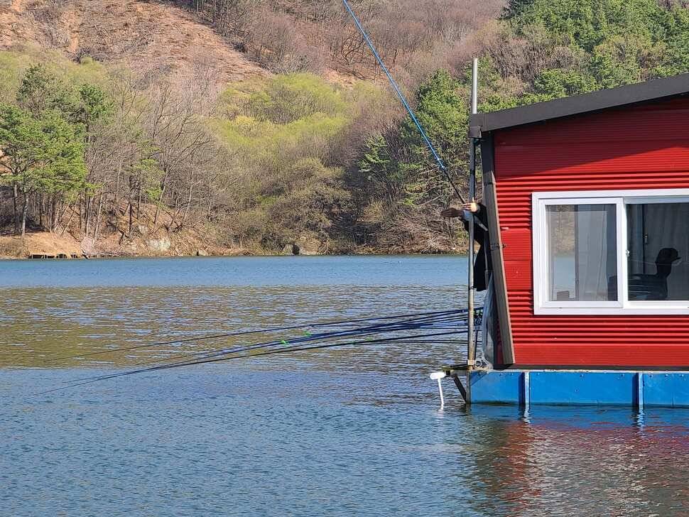 양평 수곡낚시터 4월 첫주 주말조황 및 수상좌대 할인요금 붕어방류 안내 (유료터정보 - 유료터점주조황)