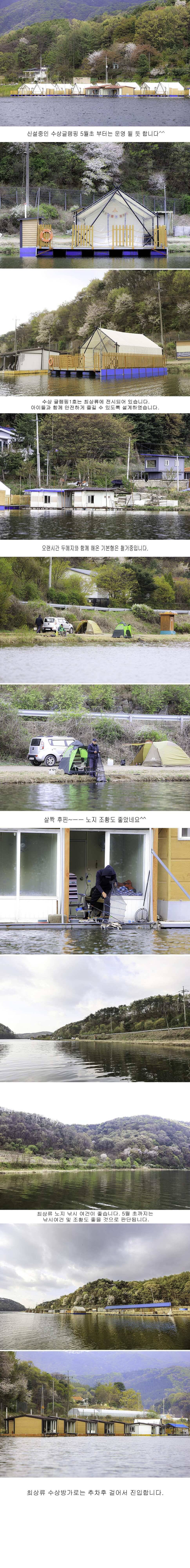 안성두메낚시터 4월21일 조황안내 (유료터정보 - 유료터점주조황)