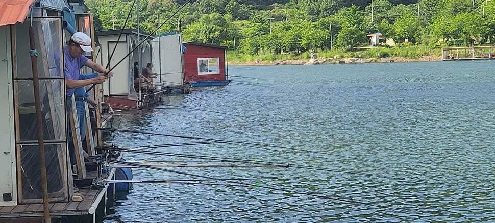 수곡낚시터 6월 첫주 출발 조황들이 좋습니다 (유료터정보 - 유료터점주조황)
