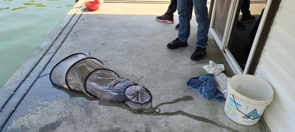 공주 고성낚시터 입니다 (유료터정보 - 유료터점주조황)