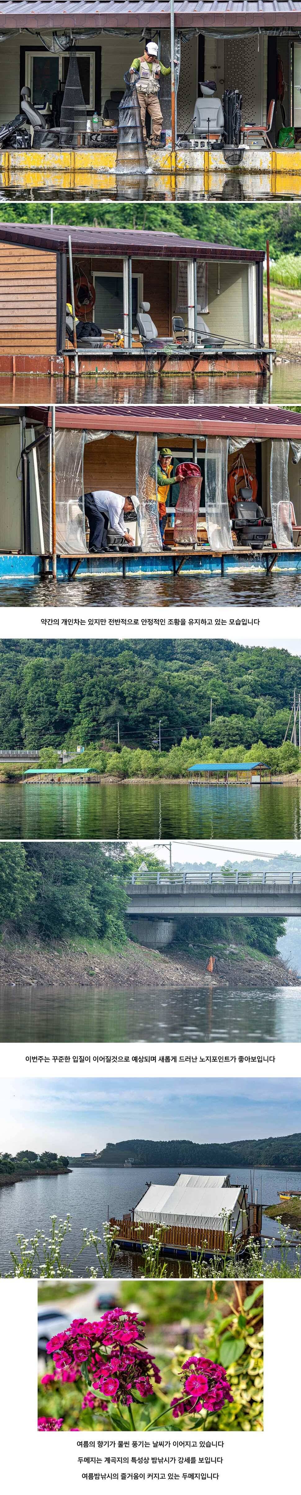 안성 두메낚시터 6월 15일 조황정보 (유료터정보 - 유료터점주조황)