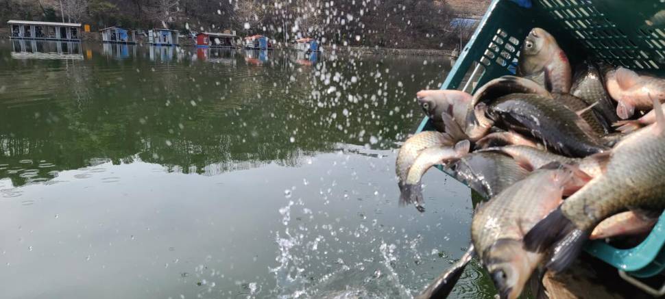 초봄시즌 힐링 수곡낚시터 주말 조황 및 붕어 방류 (유료터정보 - 유료터점주조황)