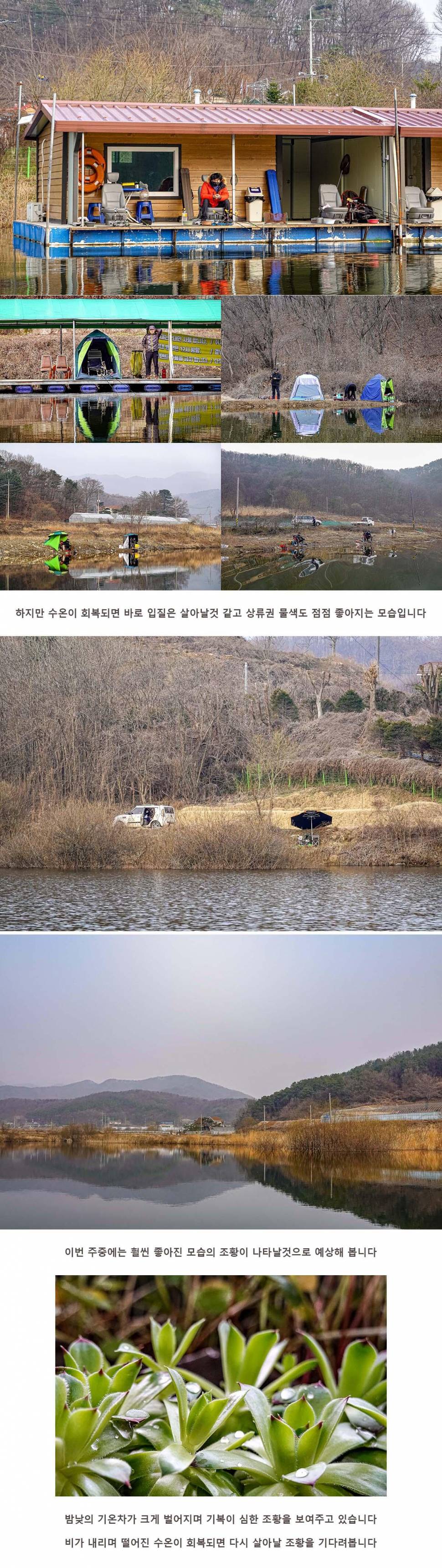 안성 두메낚시터 3월 14일 조황정보 (유료터정보 - 유료터점주조황)