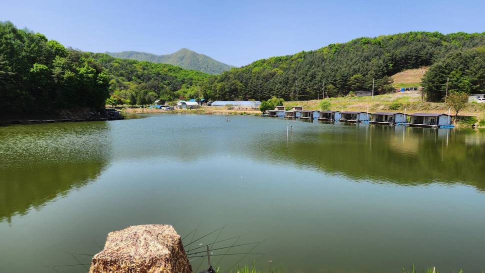 산란특수 덩어리 무더기로 나옵니다 (유료터정보 - 유료터점주조황)