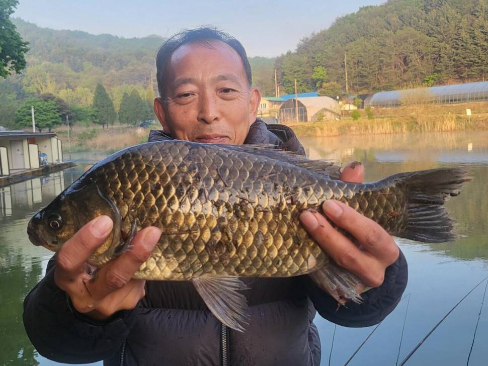 산란특수 덩어리 무더기로 나옵니다 (유료터정보 - 유료터점주조황)