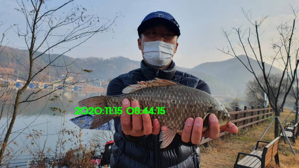 신원낚시터11월18일 토종붕어 방류 동영상과 조황 소식 입니다 (유료터정보 - 유료터점주조황)