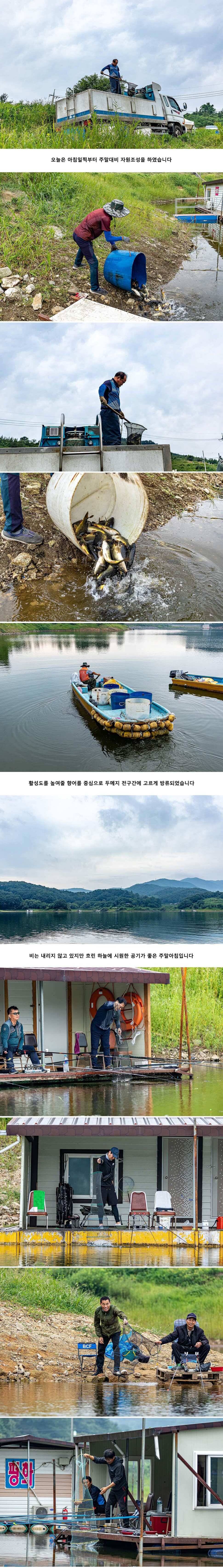 안성 두메낚시터 8월 24일 조황정보 (유료터정보 - 유료터점주조황)
