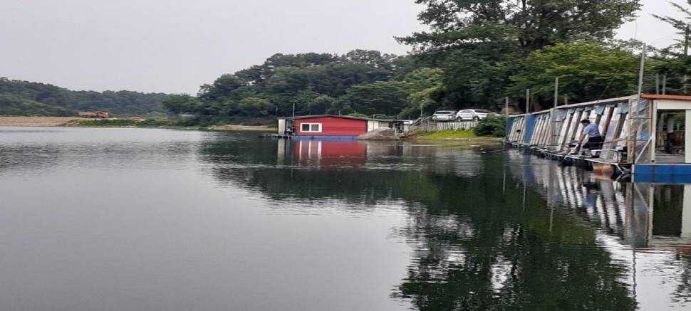 여름피서 수곡낚시터 수요일 주중 조황 및 금일 붕어방류 완료 (유료터정보 - 유료터점주조황)