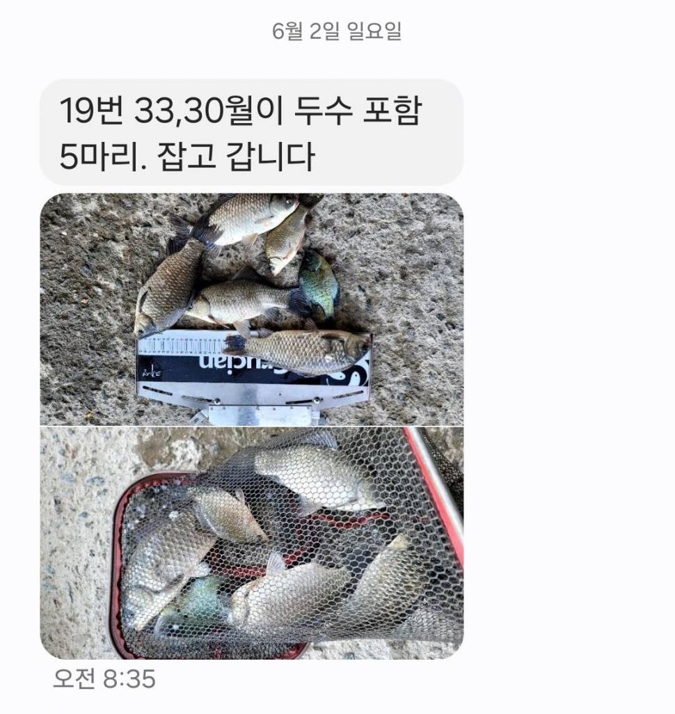 2024년 6월 첫째주 조황정보 용담낚시터사암지 4짜 4마리 (유료터정보 - 유료터점주조황)
