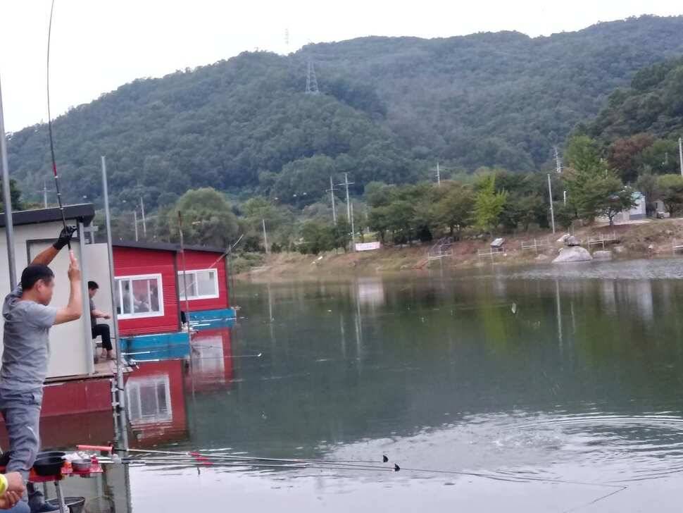 힐링 수곡낚시터 호조황이 큰편차없이 어제와 오늘도 이어지고 있습니다 (유료터정보 - 유료터점주조황)