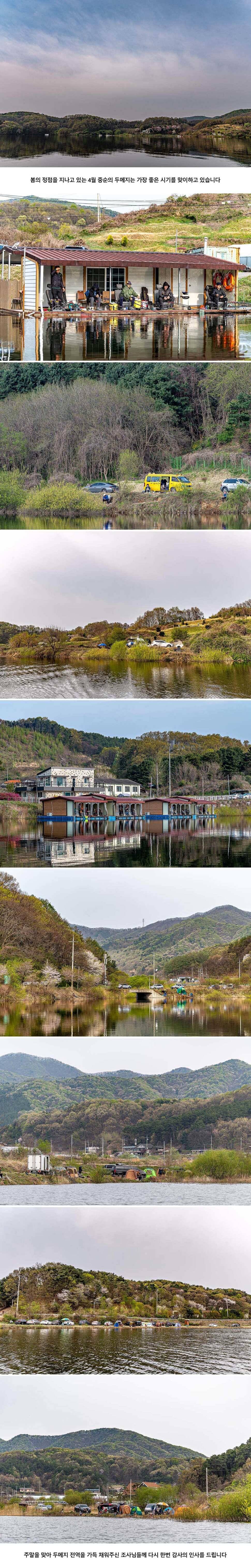 안성 두메낚시터 4월 19일 조황정보 (유료터정보 - 유료터점주조황)