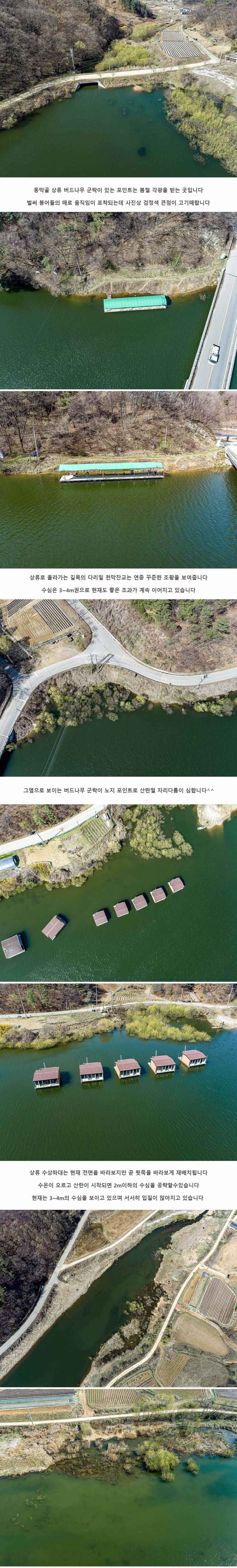 안성 두메낚시터 3월 30일 조황정보 (유료터정보 - 유료터점주조황)