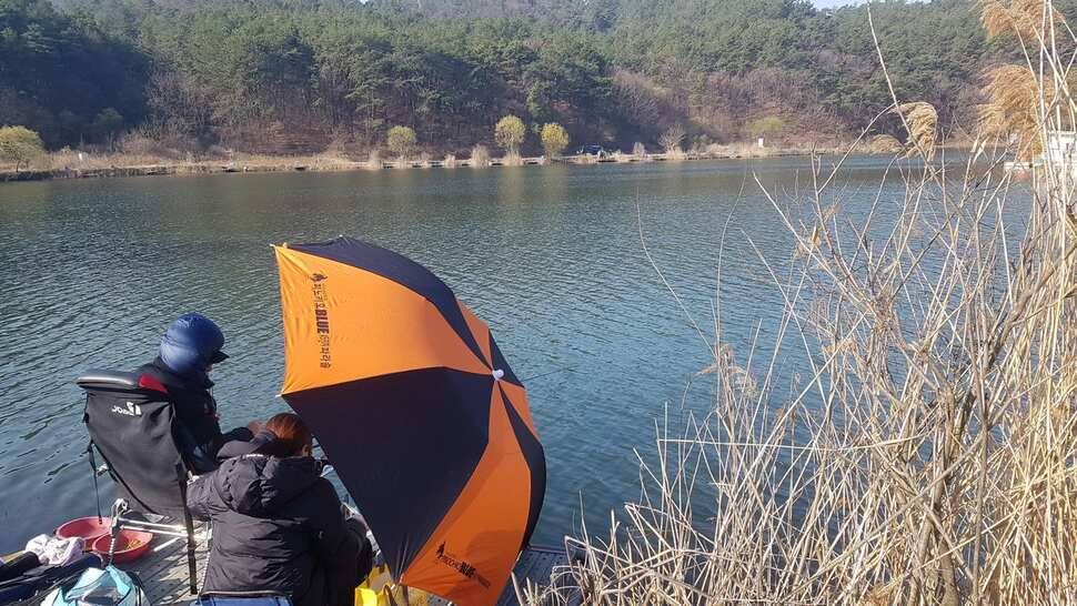 일요일은 저조하였으나 월요일 다시 살아났네요 철량리 사장님 30수 이상 허셨네요 (유료터정보 - 유료터점주조황)