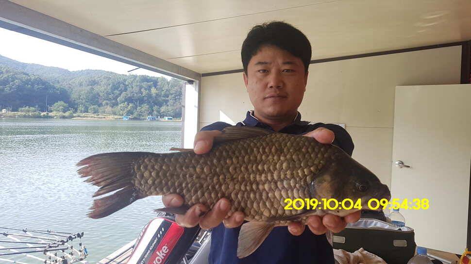 용인 신원낚시터 토종대물48짜리 구경하고 가시겠습니다 (유료터정보 - 유료터점주조황)