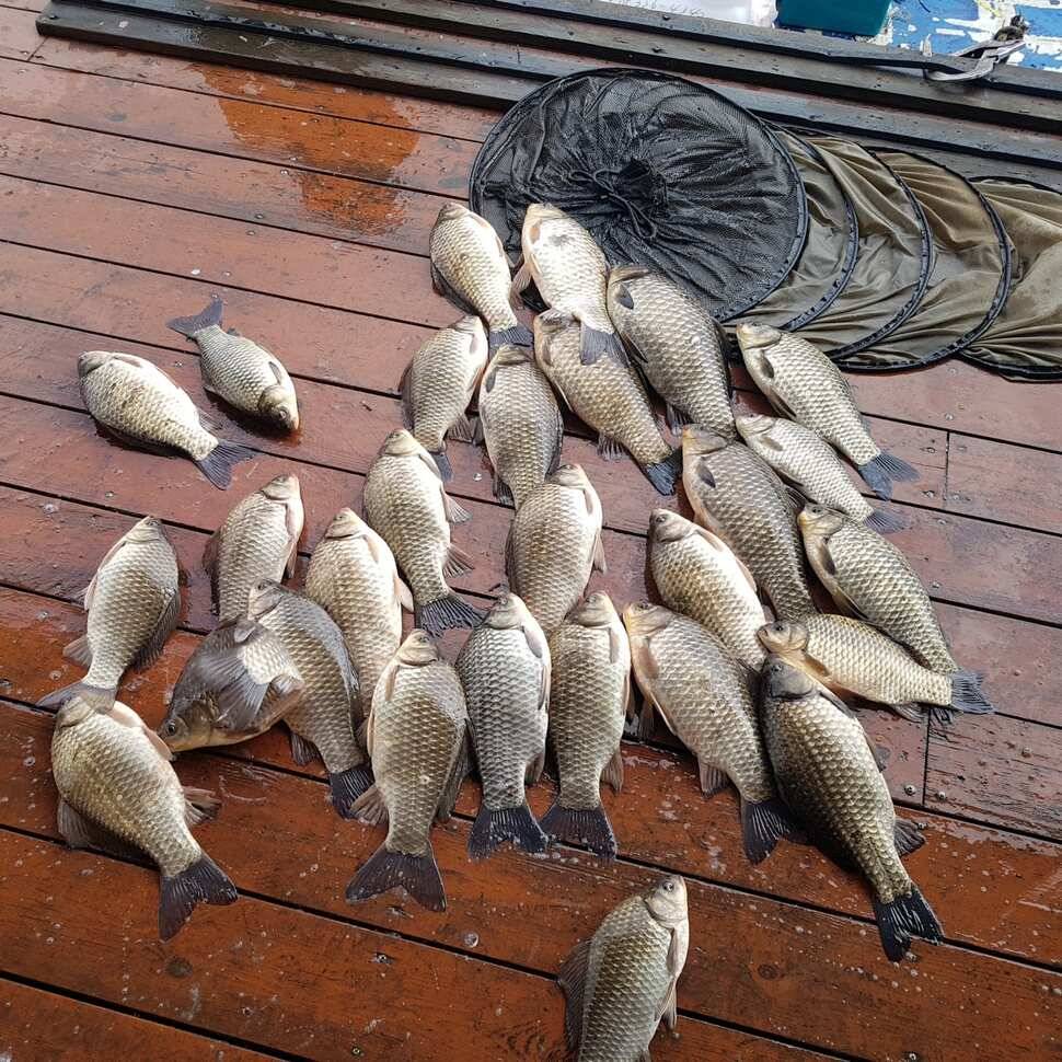 느낌이 좋아요 손맛이 (유료터정보 - 유료터점주조황)