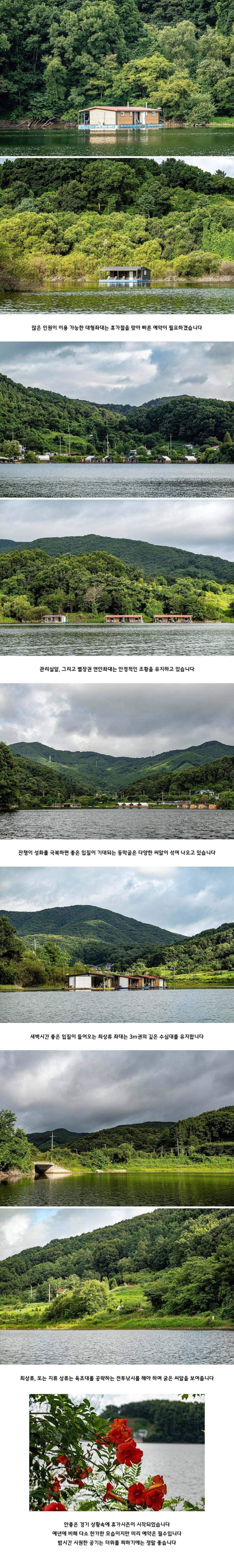 안성 두메낚시터 7월 29일 조황정보 (유료터정보 - 유료터점주조황)