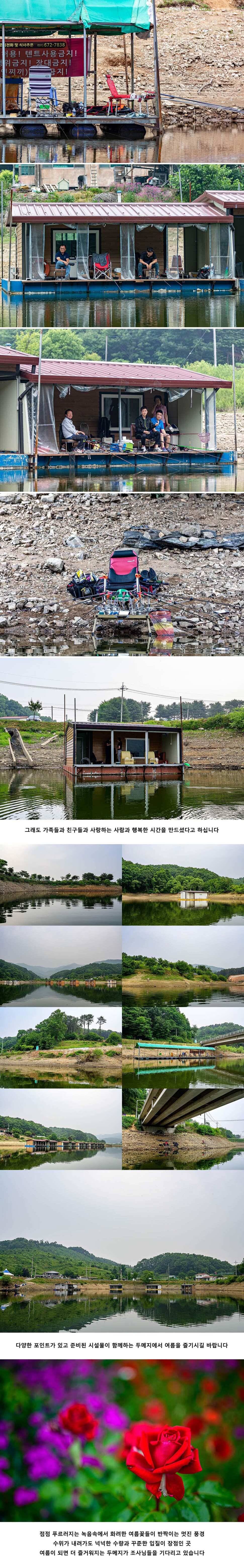 안성 두메낚시터 6월 6일 조황정보 (유료터정보 - 유료터점주조황)