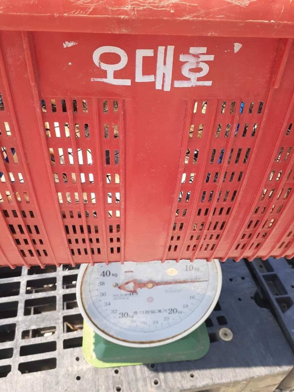 경주 동산낚시터붕어 전용잡이터지난주 조황 (유료터정보 - 유료터점주조황)