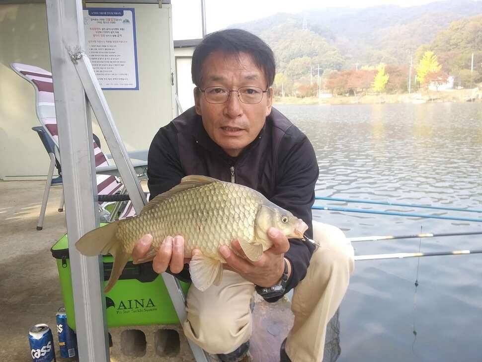 붕어낚시 양평 수곡낚시터 어제조황도 고르게 잘 나와주었습니다 (유료터정보 - 유료터점주조황)
