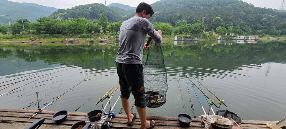 양평낚시터 힐링 수곡낚시터 수목요일 주중 조황도 고르게 나와주고 있습니다 (유료터정보 - 유료터점주조황)