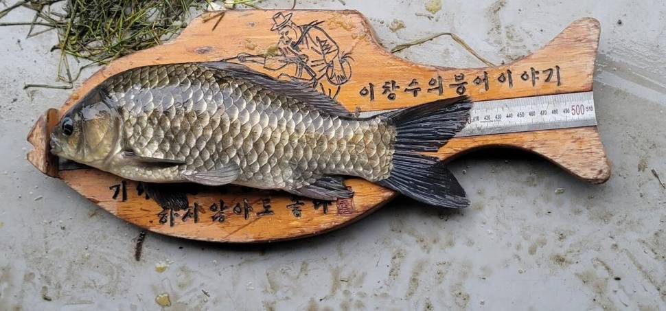 아산 안골지 4짜 소식입니다 (유료터정보 - 유료터점주조황)