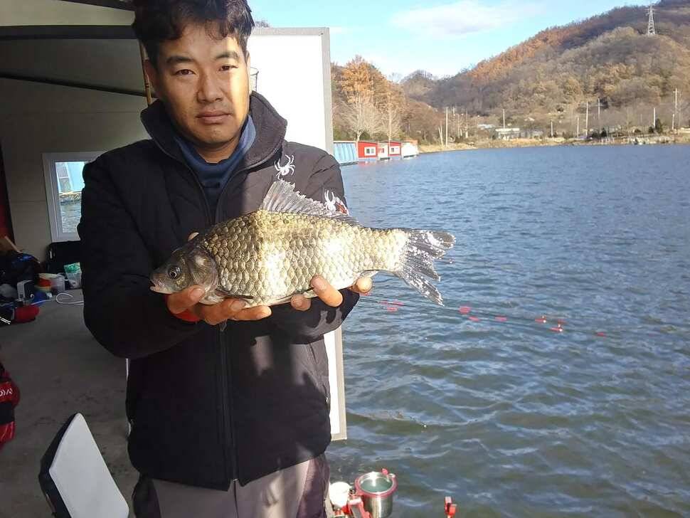 양평 수곡낚시터 조황이 잘 나와주었네요 금일 토종붕어 또 대량 방류 하였습니다 (유료터정보 - 유료터점주조황)