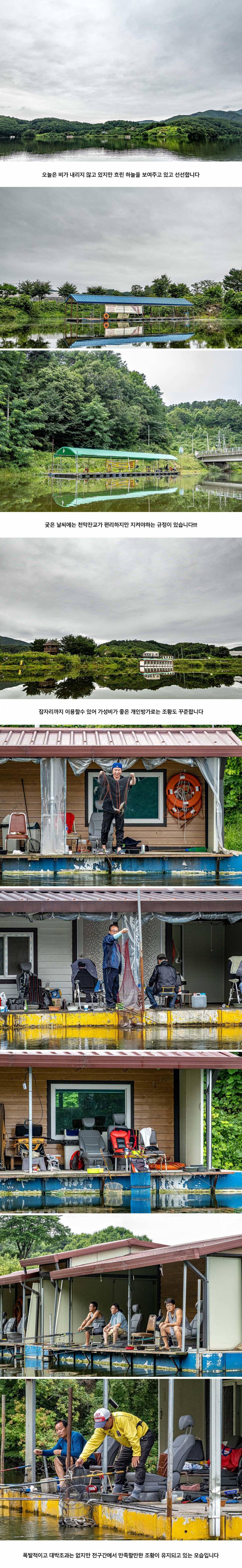 안성 두메낚시터 7월 28일 조황정보 (유료터정보 - 유료터점주조황)